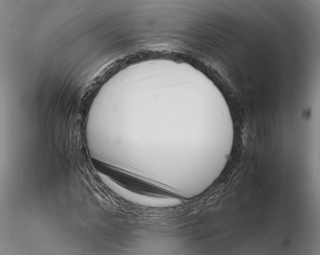 X0000116140968200912141129