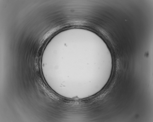 X0000116140970200912141129