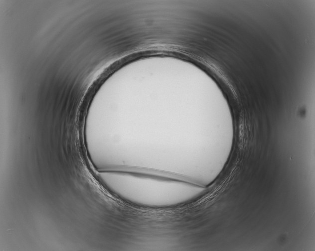 X0000116140972200912141129