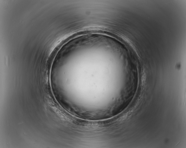 X0000116140973200912141129