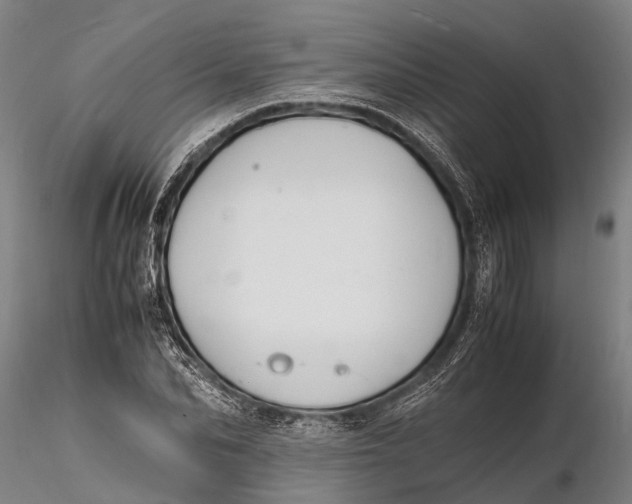 X0000116140974200912141129