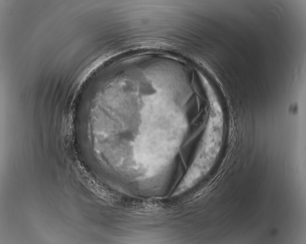 X0000116140975200912141129