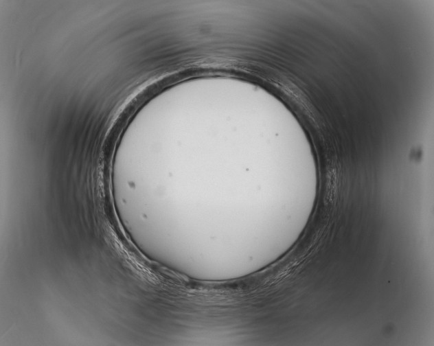 X0000116140976200912141129