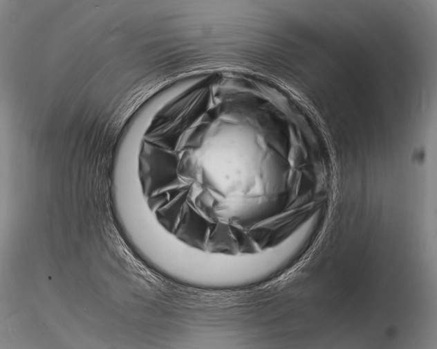 X0000116140977200912141129