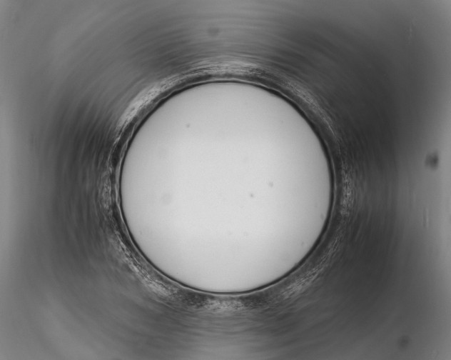 X0000116140978200912141129