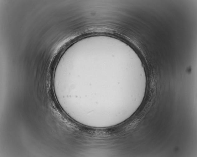 X0000116140979200912141129