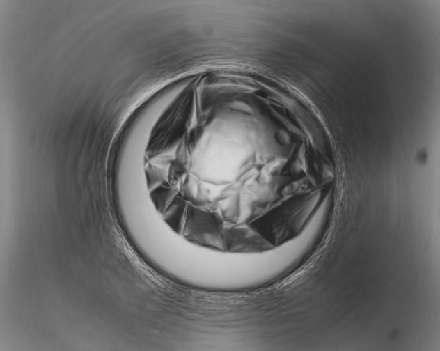 X0000116140981200912141129