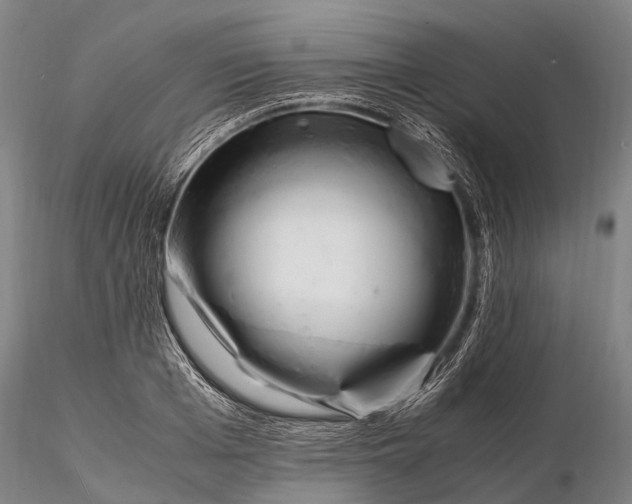 X0000116140985200912141128