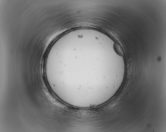 X0000116140987200912141128