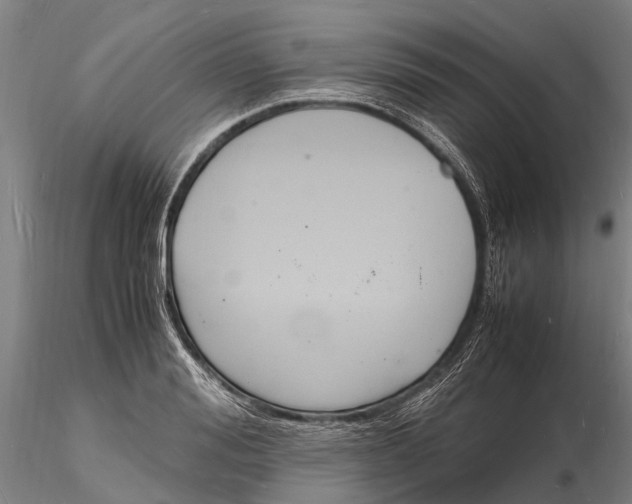 X0000116140988200912141128