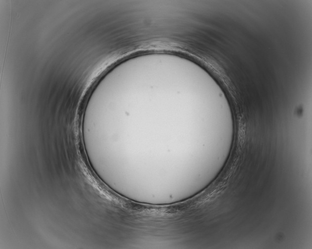 X0000116140990200912141128