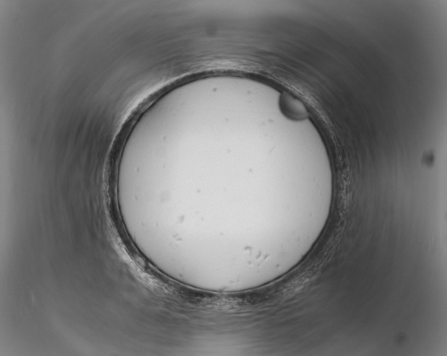 X0000116140991200912141128