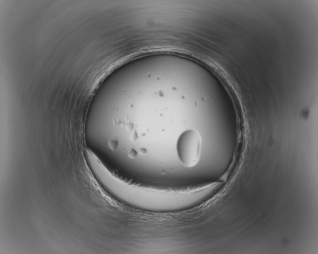 X0000116140993200912141128