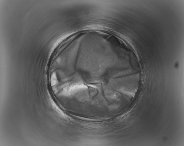 X0000116140995200912141128