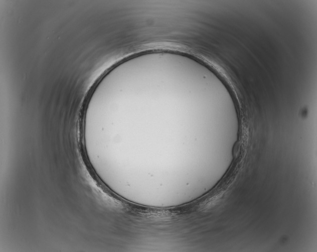 X0000116140999200912141128