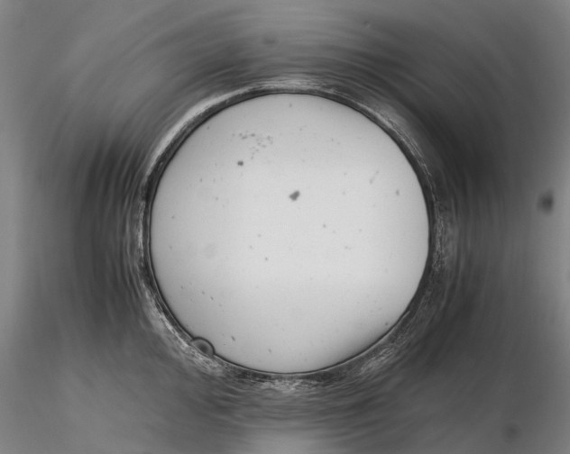 X0000116141000200912141128