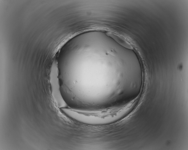 X0000116141001200912141128