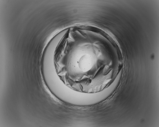 X0000116141005200912141128