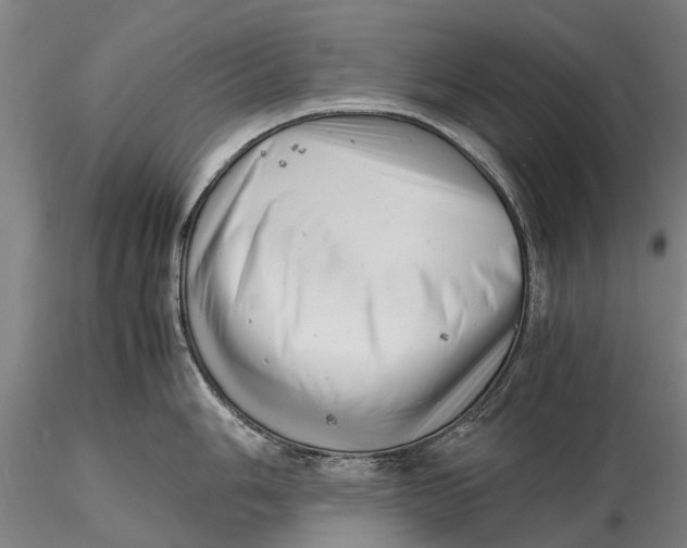 X0000116141006200912141128