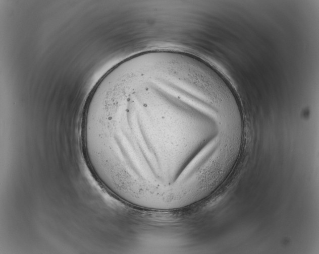 X0000116141007200912141128