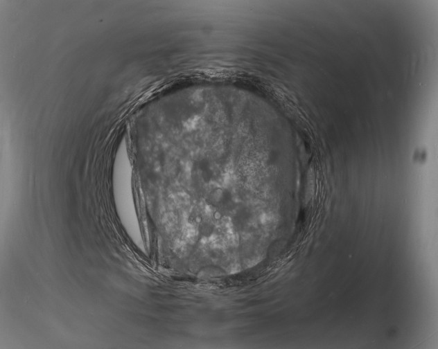 X0000116141009200912141127