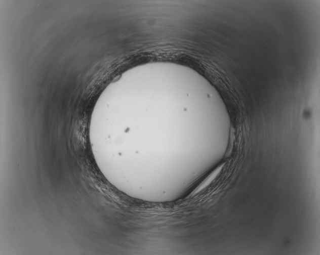 X0000116141010200912141127