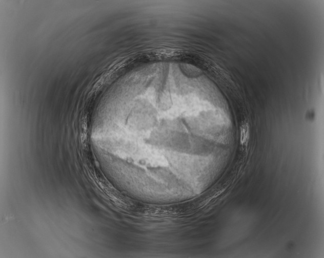 X0000116141011200912141127