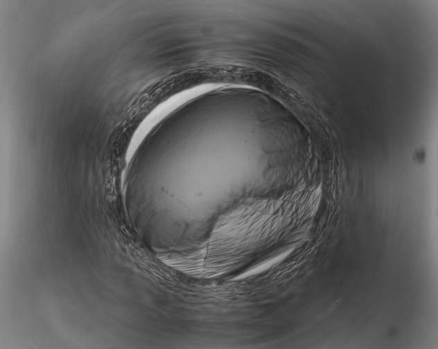 X0000116141013200912141127