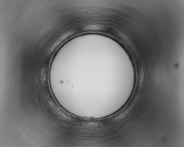 X0000116141017200912141127