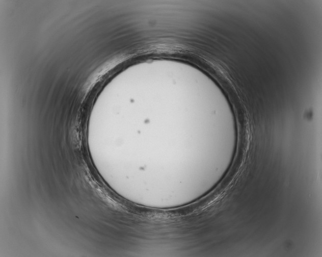 X0000116141018200912141127