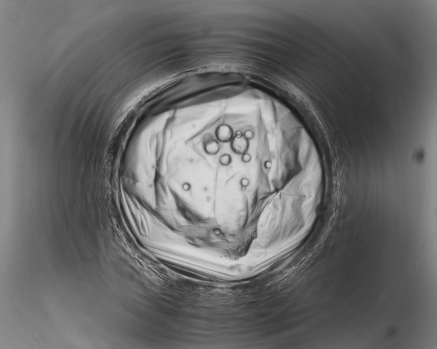 X0000116141019200912141127