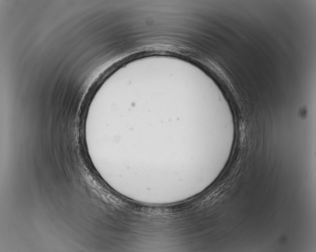 X0000116141020200912141127