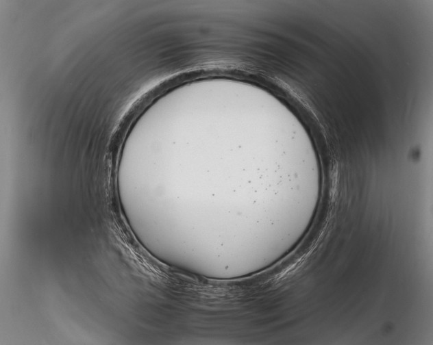 X0000116141021200912141127