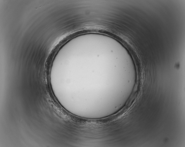 X0000116141022200912141127