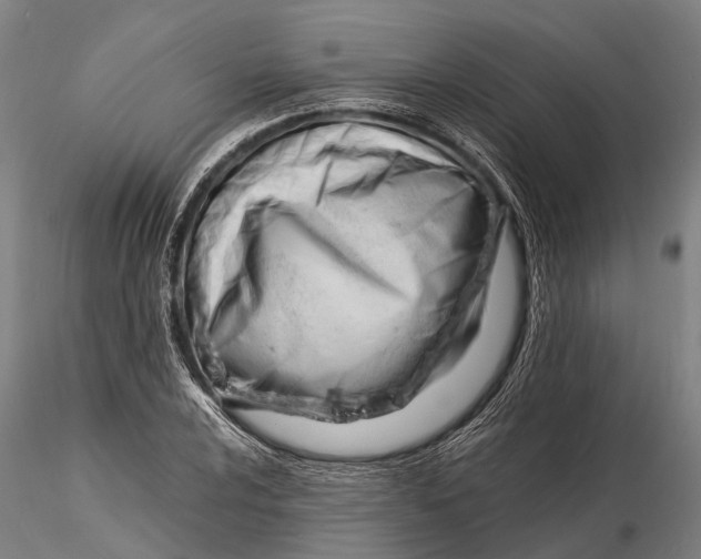 X0000116141024200912141128