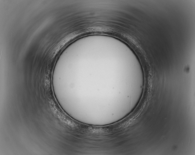 X0000116141025200912141128