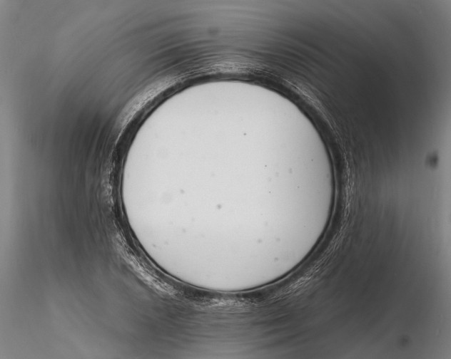 X0000116141026200912141128