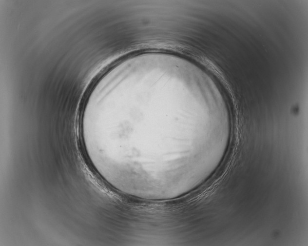 X0000116141028200912141128