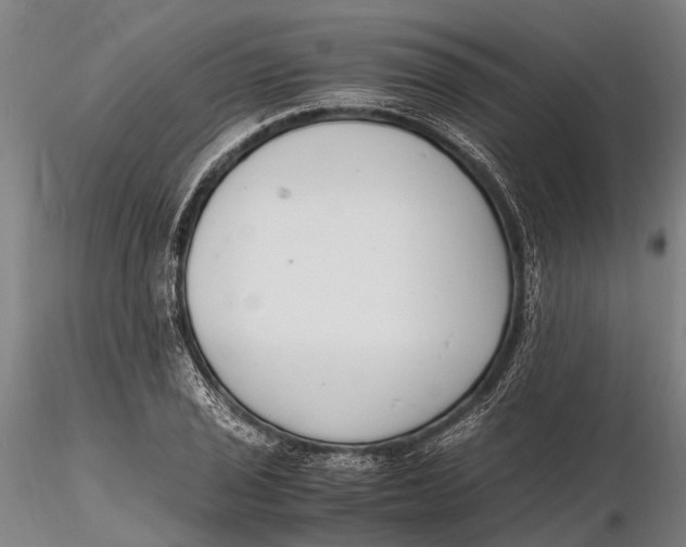 X0000116141029200912141128