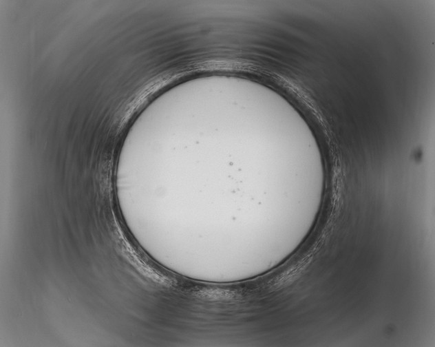 X0000116141033200912141128