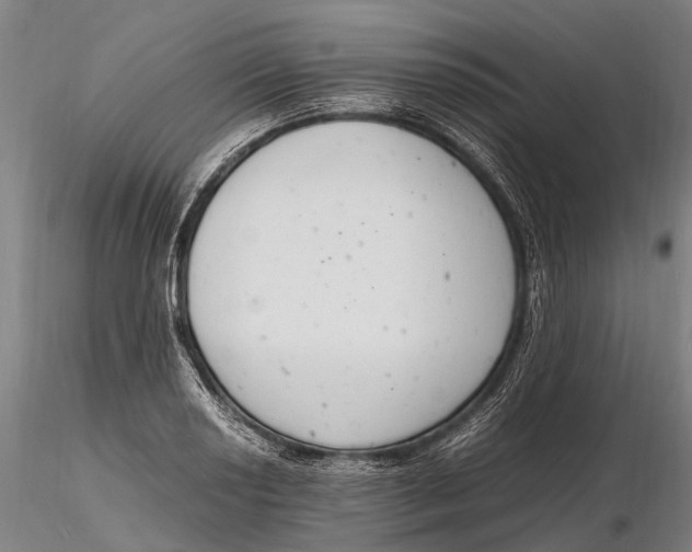 X0000116141034200912141128