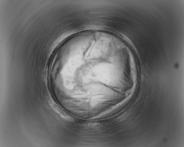 X0000116141035200912141128