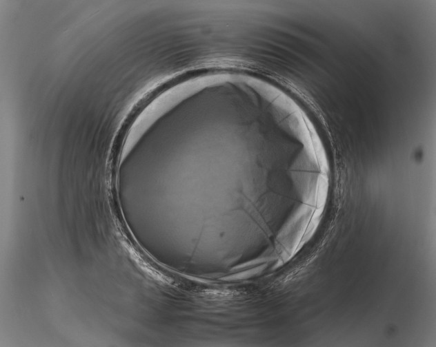 X0000116141037200912141128