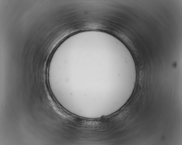 X0000116141039200912141128