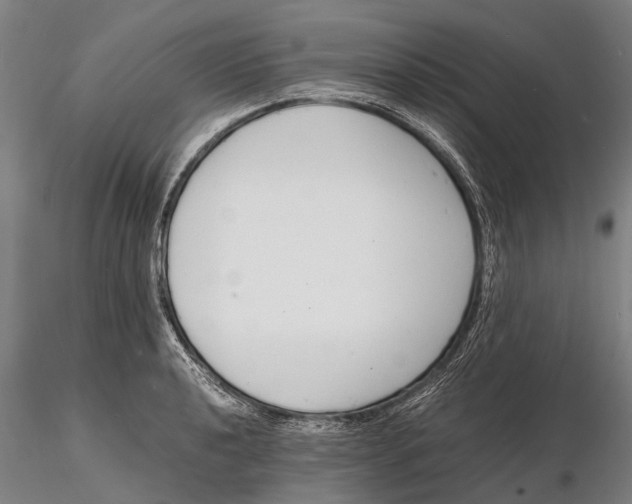 X0000116141040200912141128