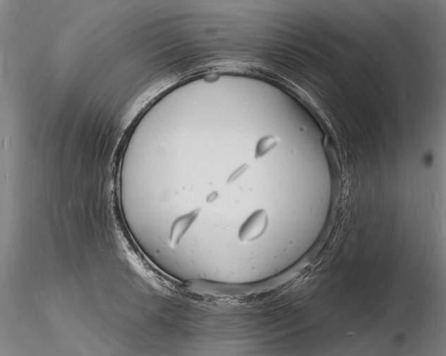 X0000116141042200912141128