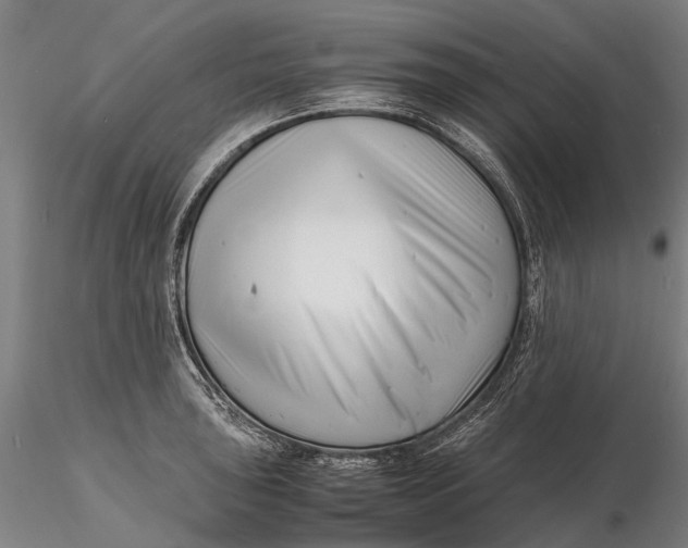 X0000116141043200912141128