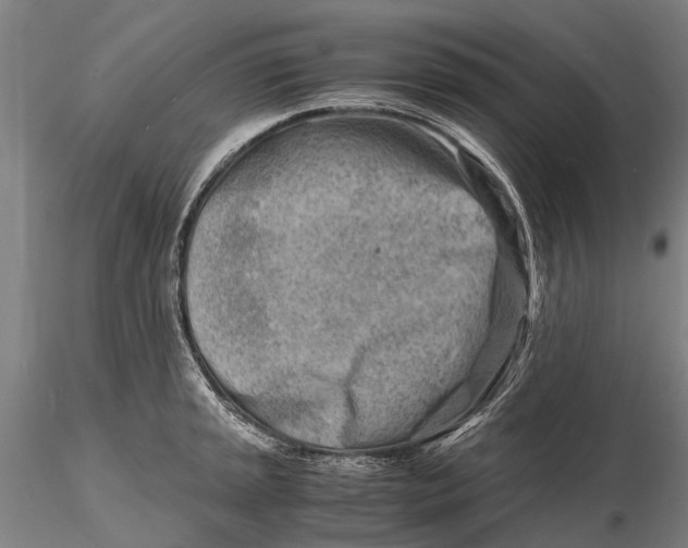 X0000116141045200912141128