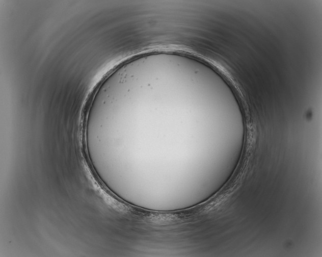 X0000116141046200912141128