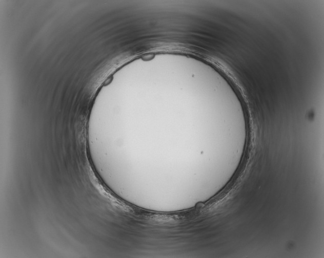 X0000116141049200912141128